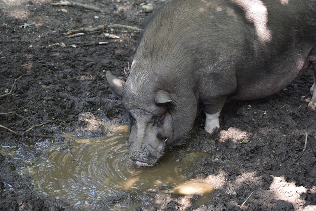 赫南德茲這 赫南德茲這