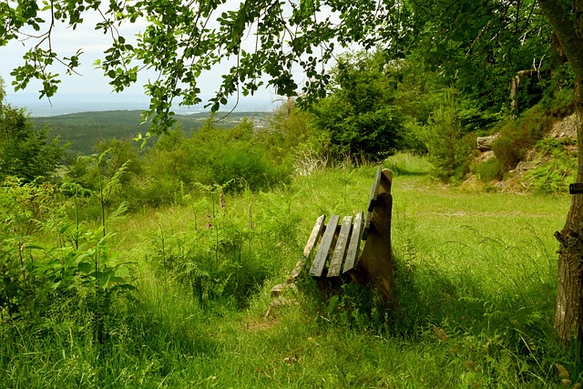 越来越多人 越来越多人