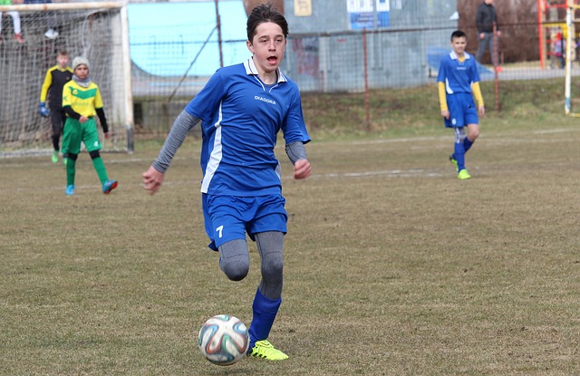 了联赛整体 了联赛整体