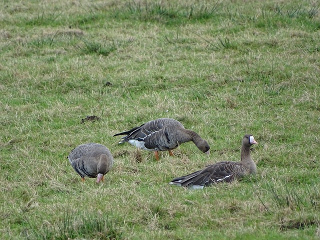 大合影成了 大合影成了